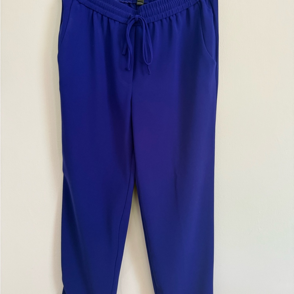 J. Crew Purple Elastic Waist Pants